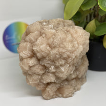 Load image into Gallery viewer, Peach Stilbite Freestanding Cluster